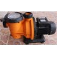 Bomba Piscina 1 CV - Monofásica - Standard